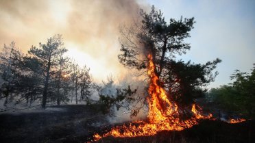 Kanada'da orman yangınları nedeniye 3 bin 500 kişi tahliye edildi