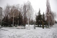 Последний снег января 