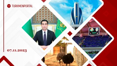 Turkmen entrepreneurs intend to export ostriches, Turkmenistan received a WHO certificate on meeting targets to combat hepatitis B, Serdar Berdimuhamedov will take part in the 16th ECO summit and other news