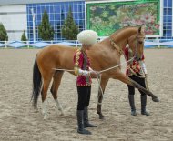В Туркменистане прошел конкурс красоты ахалтекинского скакуна