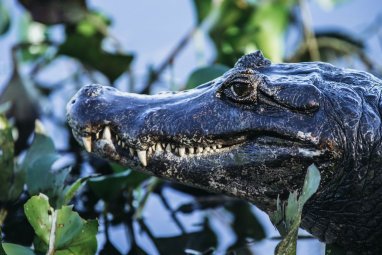 Paleontologlar dünya tarihinin en tehlikeli zaman ve yerlerini belirledi