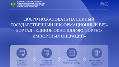 Через систему единого окна в Туркменистане прошло более 20 000 заявок