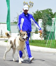 Fotoreportaž: Türkmenistanda weterinariýa bejerişhanasy we öýhaýwanlary saklanylýan toplum açyldy