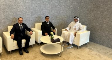 The delegation of Turkmenistan met with the Secretary General of the Qatar Horse Breeding Federation