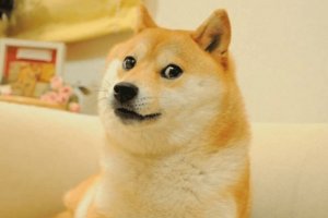 In Japan, the dog Kabosu, who became the hero of the Doge meme, died