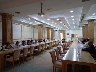 Seminar on assessment of data systems on children in care held in Ashgabat