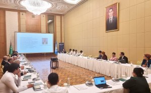 В Ашхабаде состоялось первое заседание координационного комитета «Единое здоровье»