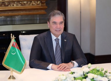 Глава Халк Маслахаты Туркменистана встретился с коммерческим директором авиакомпании Flydubai