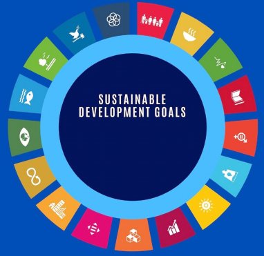 Turkmenistan continues to implement the UN Sustainable Development Goals