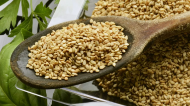 A large sesame producer in Turkmenistan plans to harvest at least 560 tons