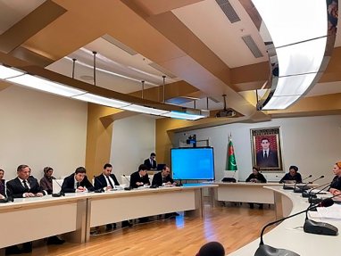 Türkmenistan Bilimler Akademisi'nin Teknomerkezi'nde bilimsel gelişmelerin ticarileştirilmesi konulu bir seminer düzenlendi