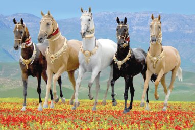 Arkadag to Receive UNESCO Certificate for Ahal-Teke Horse Breeding Art