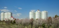 Spring in Ashgabat