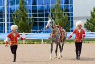 Фоторепортаж с международного конкурса красоты по случаю национального дня туркменского скакуна
