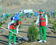 Фоторепортаж: В Туркменистане дан старт весенней озеленительной кампании