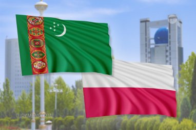 Послы Туркменистана и Польши в РФ обсудили перспективы развития двустороннего сотрудничества