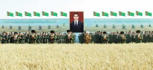 Земледельцы Дашогузского и Балканского велаятов Туркменистана приступили к жатве зерновых