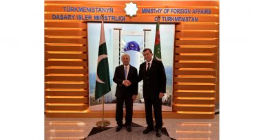 The Ministry of Foreign Affairs of Turkmenistan discussed the implementation of the TAPI and TAP projects