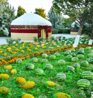 Фоторепортаж: В Туркменистане отметили Праздник урожая