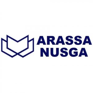 Arassa Nusga: reveals the secrets of choosing a reliable IT partner