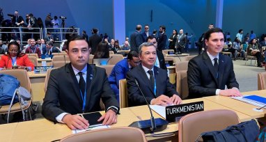 Turkmenistan delegation takes part in COP29 in Baku