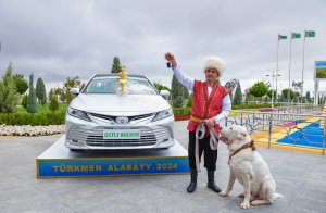 A brave Alabay of 2024 has been chosen in Turkmenistan