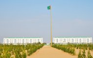 Фоторепортаж: В Туркменистане дан старт весенней озеленительной кампании