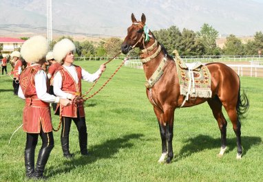 Ahal-Teke horse breeding art was included in the UNESCO cultural heritage list