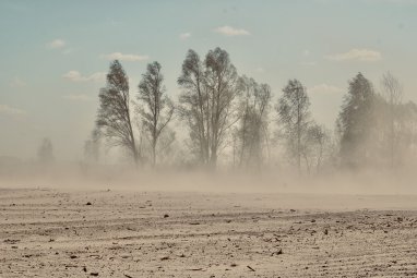 Юго-восточные провинции Ирана страдают от пыльных бурь