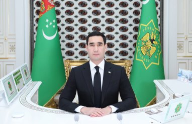 Президент Туркменистана потребовал повысить темпы вспашки земель под сев хлопчатника