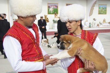 В Туркменистане прошли торжества в честь Праздника туркменского алабая