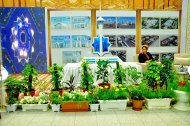 Фоторепортаж: XIX универсальная выставка «Белый город – Ашхабад»