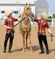 Photoreport from the international beauty contest on the occasion of the national day of the Turkmen horse