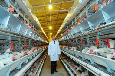 Photo report: A new poultry complex opened in Akhal velayat