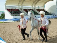 В Ашхабаде состоялся второй тур международного конкурса красоты ахалтекинских скакунов