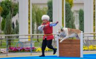 В Туркменистане прошел конкурс «Самый отважный алабай – 2022»