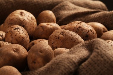 Ученые «взломают» ДНК картофеля, чтобы ускорить время его приготовления