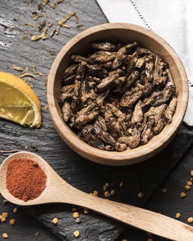 Singapore allows the consumption of 16 types of insects