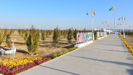 Фоторепортаж: в Ашхабаде введен в эксплуатацию парк 