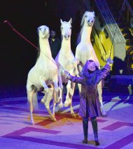 Fotoreportaž: Aşgabatda Moskwanyň «Karnelli» sirk ussatlary çykyş etdi 