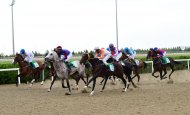 Photo report: Festive horse racing in honor of Independence Day was held in Turkmenistan
