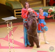 Фоторепортаж с гастроли артистов циркового искусства России