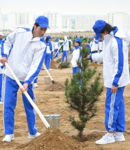  Photo story: Over 1 million 604 thousand trees planted in Turkmenistan