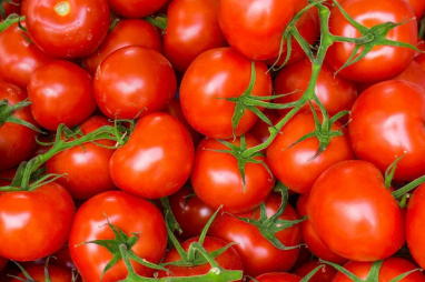 Türkmenistan rus bazarlaryna 17 müň tonna golaý pomidor eksport etdi