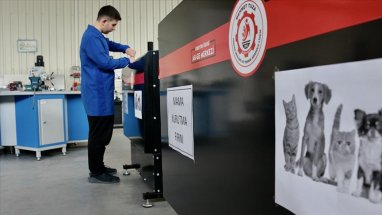 В Турции разработали агрегат по производству корма для собак и кошек из пищевых отходов