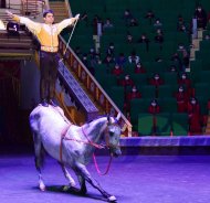 The State Circus of Turkmenistan hosted a performance in honor of the national holiday of the Turkmen horse