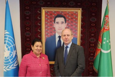 Постпреды при ООН Туркменистана и Ирландии провели переговоры