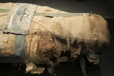 В Мексике на конгрессе продемонстрировали мумии «пришельцев»