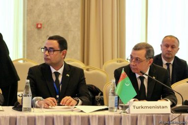 Делегация Туркменистана участвует в заседании Совета глав МИД стран ОЭС