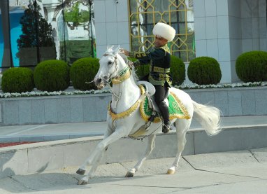 UNESCO will consider the nomination of Turkmenistan about the Ahal-Teke horse breeding art
